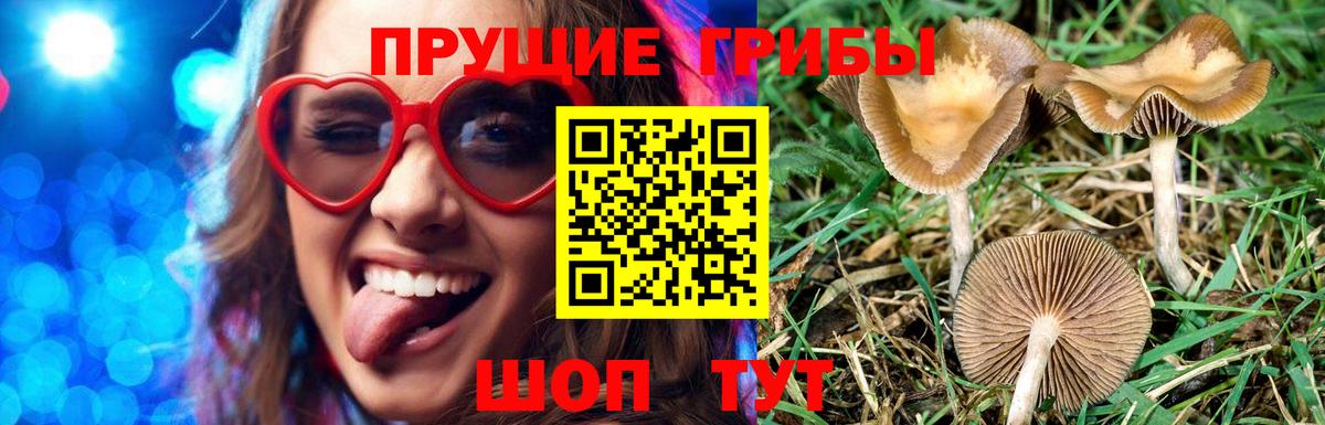 Улан-Удэ  Псилоцибиновые грибы ЛСД  купить  сайты  Вход с VPN  Галлюциногенные грибы Magic Shrooms 